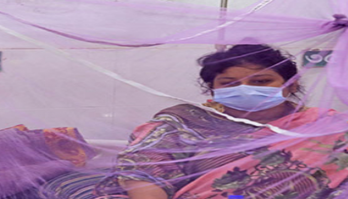 নতুন করে আরও ১৮৮ ডেঙ্গু রোগী হাসপাতালে ভর্তি