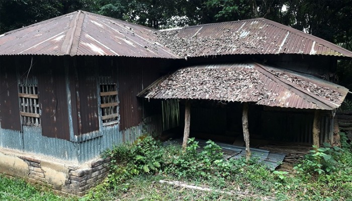 জরাজীর্ণ পরিবেশে বাস করছেন বন বিভাগের কর্মকর্তা-কর্মচারীর