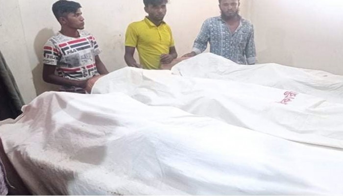 বিদ্যুৎস্পৃষ্টে একই পরিবারের তিনজনের মৃত্যু