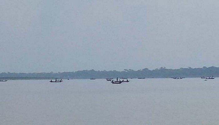 মুলাদীতে নিষেধাজ্ঞা অমান্য করে চলছে মা ইলিশ নিধন