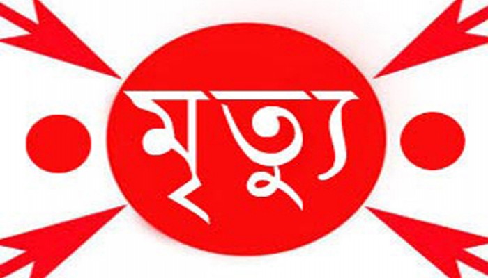 স্বামীর লাঠির আঘাতে স্ত্রীর মৃত্যু