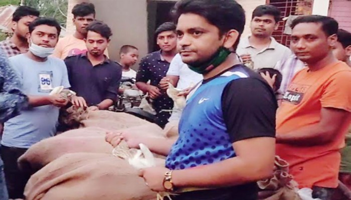 পাচারের সময় ৭০০ পাখি উদ্ধার করল ছাত্রলীগ