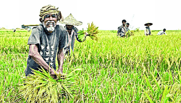বিশ্ব খাদ্য দিবস আজ