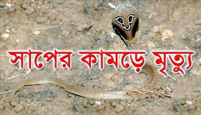সাপের কামড়ে শিশুর মৃত্যু