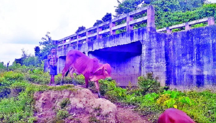 জনবসতিহীন পাহাড়ে সড়ক ছাড়াই সেতু