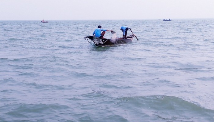 হোম ডেলিভারি সার্ভিসে বিক্রি হচ্ছে মা ইলিশ