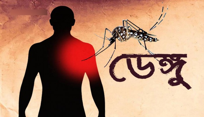 একদিনে ডেঙ্গুতে আরও দু'জনের মৃত্যু, হাসপাতালে ১৮৯