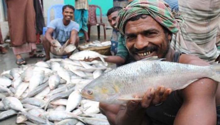 নিষেধাজ্ঞা শেষে মধ্যরাত থেকে ইলিশ ধরা শুরু