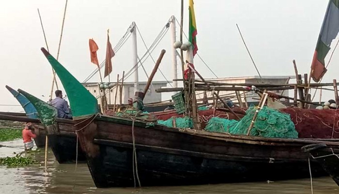 নিষেধাজ্ঞা শেষে চাঁদপুরে ইলিশ শিকারে নেমেছে জেলেরা