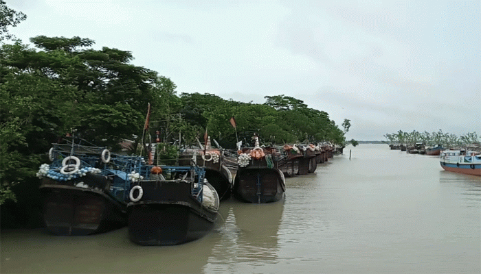 বাগেরহাটে নিষেধাজ্ঞা শেষে ফের ইলিশ ধরা শুরু