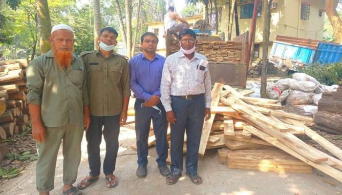 কুমিল্লায় সুয়াগাজী বনবিভাগের অভিযানে বিপুল পরিমাণ কাঠ জব্দ