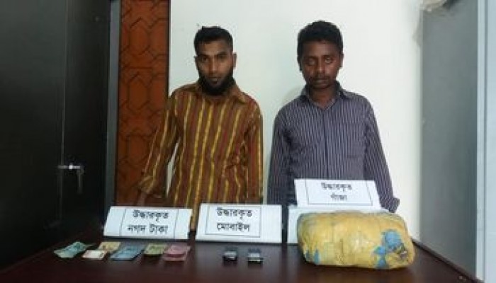 পটুয়াখালীতে গাঁজাসহ দুইজনকে  আটক করেছে র‌্যাব