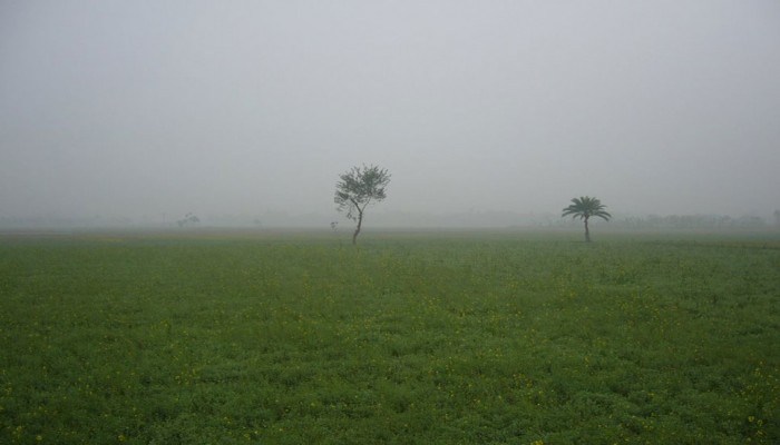 তেঁতুলিয়ায় ফের দেশের সর্বনিম্ন তাপমাত্রা
