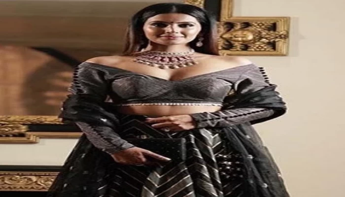 হরভজনকে বিয়ের পর যে কারণে অভিনয় ছেড়েছেন গীতা