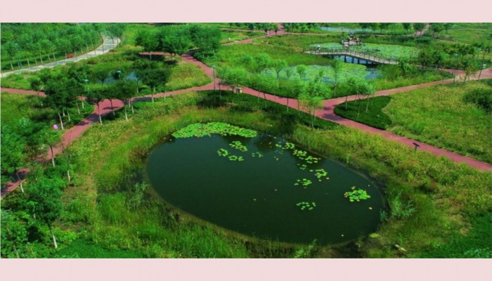 চীনে তৈরি হচ্ছে ‌‘স্পঞ্জ সিটি’ বন্যা সমস্যা দূর করতে