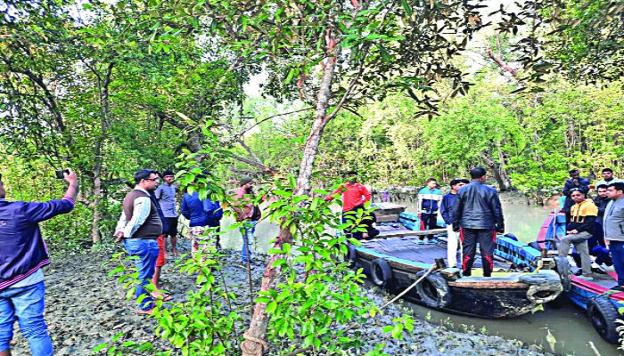 নিরাপদ সুন্দরবনে এখন বাড়ছে পর্যটক