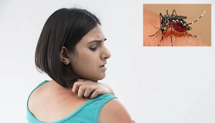কোভিড ভয়ের মাঝে মশার কথা ভুললেই হবে সর্বনাশ