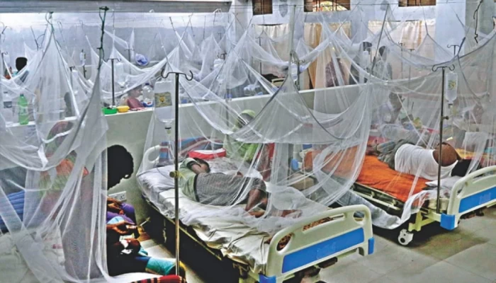 ডেঙ্গুতে আক্রান্ত হয়ে আরও ৫৩ জন হাসপাতালে