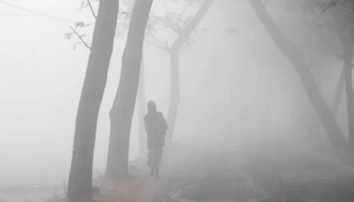 রাত থেকে বাড়বে কুয়াশা