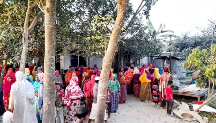 যেভাবে সড়কে প্রাণ গেলো মা-ছেলের