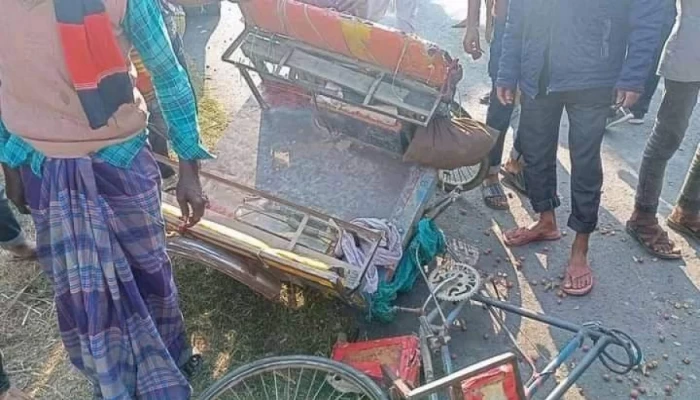 আক্কেলপুরে পিকআপের ধাক্কায় ভ্যানচালকসহ নিহত ২
