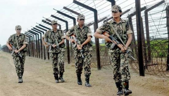 পোরশা সীমান্ত থেকে কৃষককে আটক করল বিএসএফ