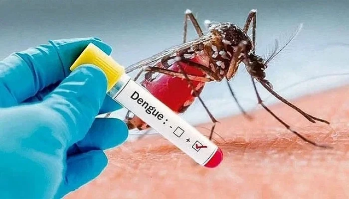 ডেঙ্গুতে এক দিনে ১০ জনের মৃত্যু, হাসপাতালে ভর্তি ৮৮৬
