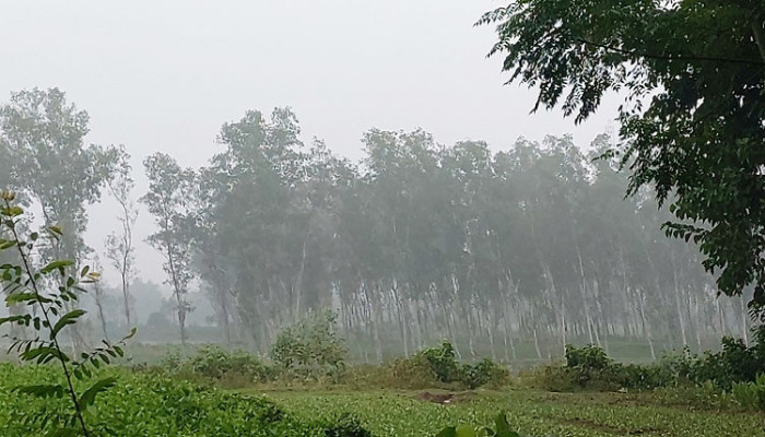 পঞ্চগড়ে সর্বনিম্ন ১৩ ডিগ্রিতে নামলো তাপমাত্রা