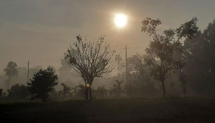 তাপমাত্রা কমতে পারে ২ ডিগ্রি সেলসিয়াস