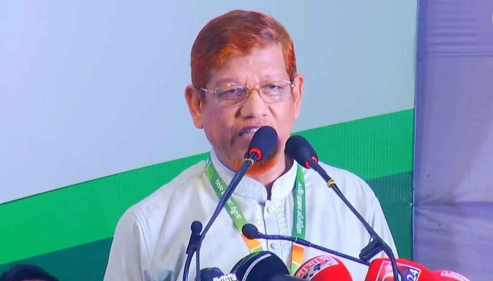 গণভোট না হলে জাতীয় নির্বাচন হবে ২০২৯ সালে: হামিদুর রহমান আযাদ