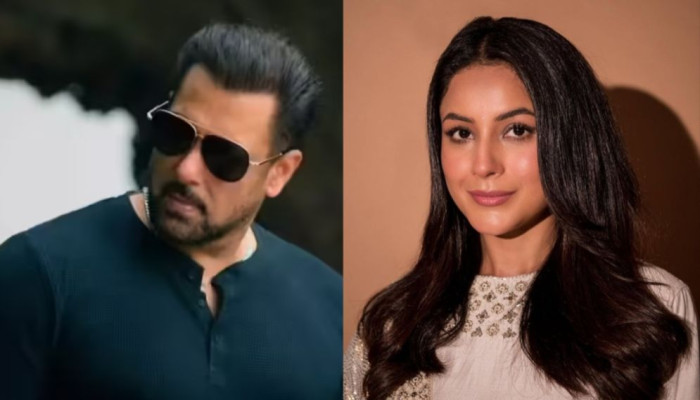 অন্দরের ঘটনা ফাঁস করলেন শেহনাজ গিল