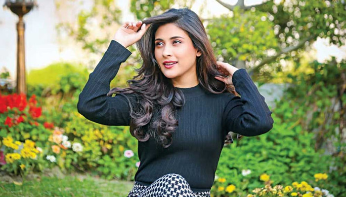 কোনো অভিযোগের প্রমাণ নেই